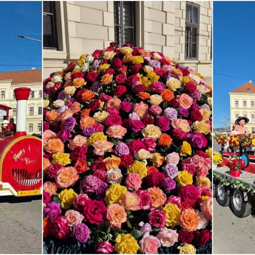 Parada rozelor la Aiud: Festivalul &quot;Ziua Rozelor&quot; a ajuns la cea de-a XXI-a ediție