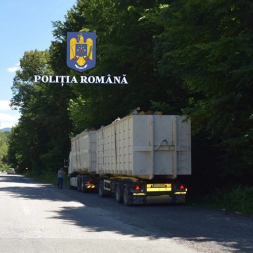 Dosar penal pentru un șofer din Alba care transporta lemne fără documente