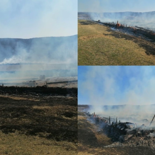 Pedeapsă în instanță pentru un cioban din Alba care a provocat un incendiu violent la o stână. Sute de oi și miei au murit