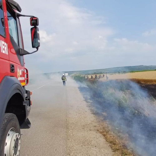 Incendiu de amploare în localitatea Tau din comuna Roșia de Secaș