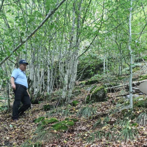 Cadavrul unui bărbat dispărut a fost găsit de jandarmii montani