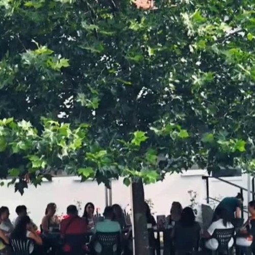 Atelier de parenting la Biblioteca Județeană &quot;Lucian Blaga&quot; Alba
