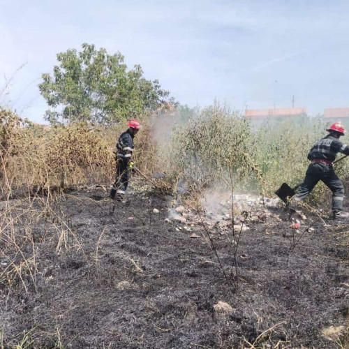Pompierii din Aiud intervin pentru stingerea unui incendiu de vegetație în Unirea I