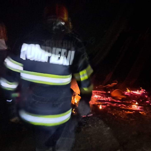 Incendiu în satul Luminesti, comuna Sohodol