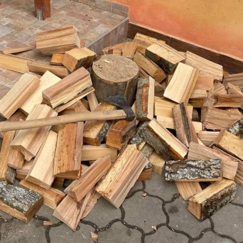 Condamnat la închisoare pentru tăiere ilegală de lemne în Aiud