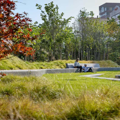Cinci &quot;păduri urbane&quot; vor fi create în Alba Iulia, acoperind 6.400 mp