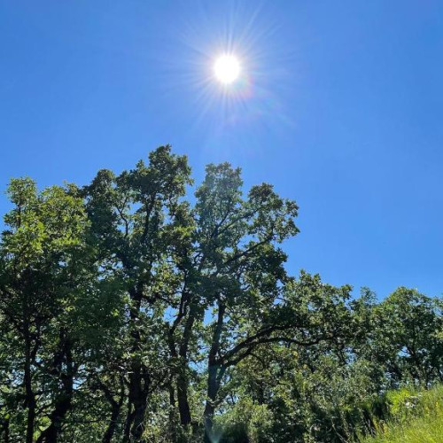 Vremea în Alba, în săptămâna 12-18 august