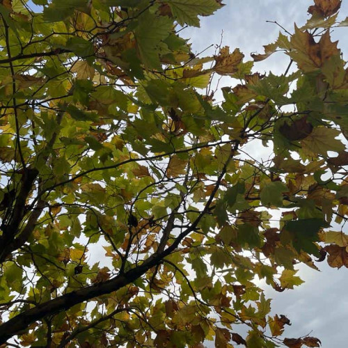 Vremea până pe 15 septembrie: Prognoză meteo detaliată
