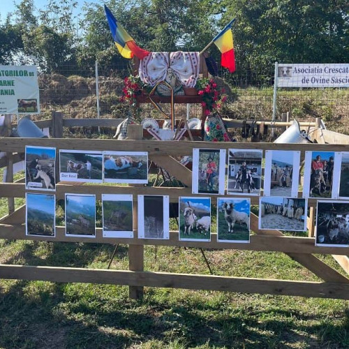 Târg de animale fără animale la Apulum Agraria de la Ighiu