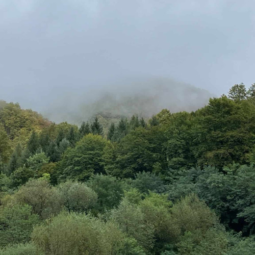 Administrația Națională de Meteorologie a emis atenționări de ploi și vânt pentru județul Alba