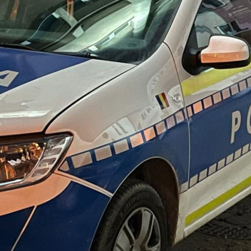 Accident rutier pe DN7, în zona localității Tărtăria