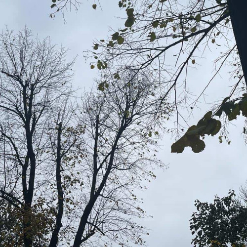 Vremea până la mijlocul lunii noiembrie: Frig în regiunile extracarpatice
