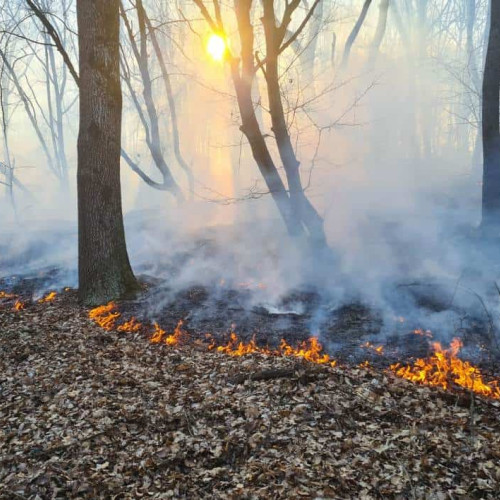 Incendiu de pădure lângă Zlatna, mobilizate echipaje pentru stingere