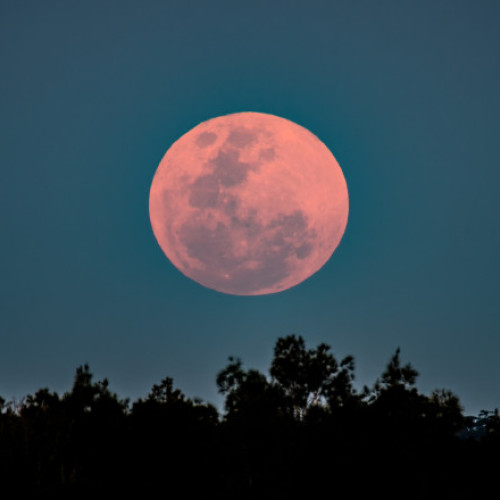 Luna Roz strălucește pe cerul României pe 13 aprilie
