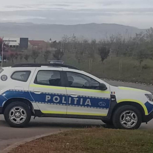 Verificări de către polițiști și jandarmi în Alba. Sute de mașini și persoane controlate