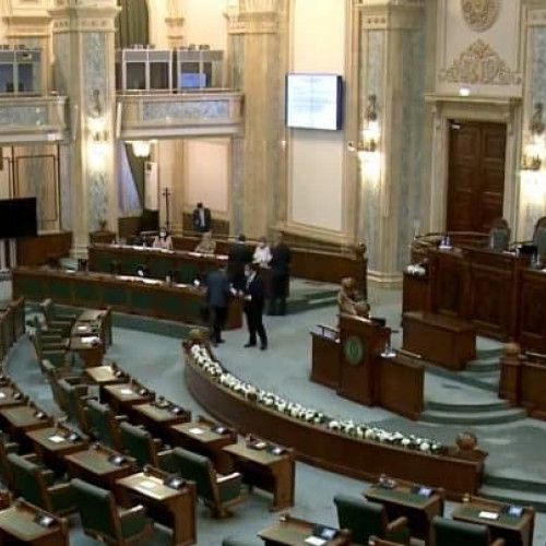 Centrele de plasament vor instala camere de supraveghere video