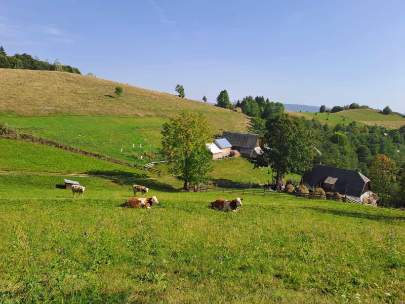 Termenul de depunere a cererilor de plată a fost prelungit