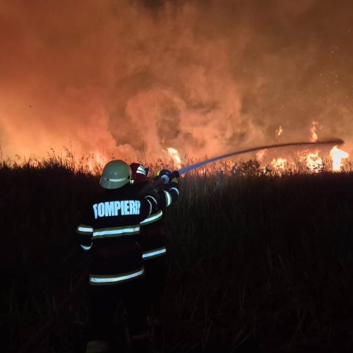 VIDEO: Incendiu de vegetație uscată în satul Vălișoara. Este afectată o suprafață de 1000 metri pătrați