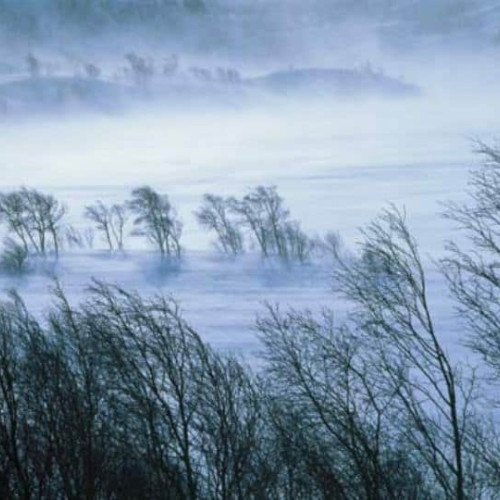 Atenționare meteo: vânt puternic în 24 de județe inclusiv Alba. Rafale de peste 90-100 km/h în zona montană.