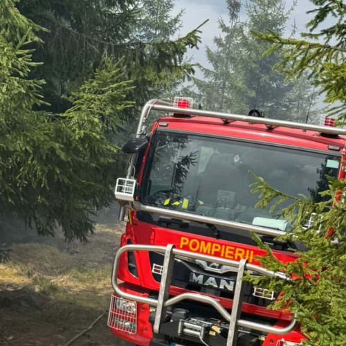 Incendiu de vegetație și litieră de pădure în Loman. Intervin pompierii din Sebeș