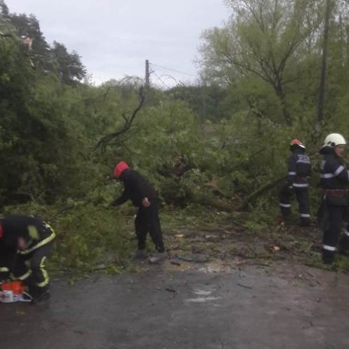 Copaci căzuți pe carosabil, la Câmpeni. Pompierii intervin pentru îndepărtarea acestora