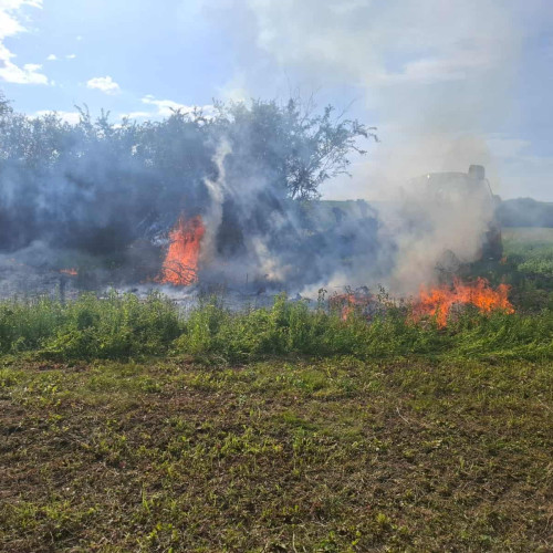 Incendiu de vegetație la Meteș. Intervin pompierii din Alba Iulia, cu o autospecială