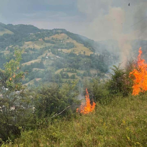 UPDATE FOTO: Incendiu de vegetație uscată la Câmpeni. Intervin pompierii din oraș, cu autospecială de teren