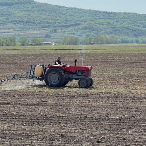 Fermierii primesc peste 1,2 miliarde de lei din fonduri europene. Finanțări pentru sectorul vegetal și zootehnic.