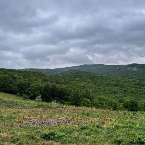 Avertizare Cod galben de furtuni în Alba și alte județe până duminică seara
