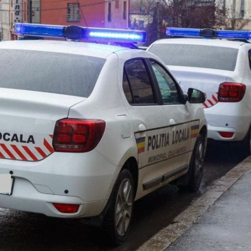 Schimbări la drepturile salariale în Poliția Locală: decizia ÎCCJ privind stabilitatea. Decizie neunitară la problemă de drept.