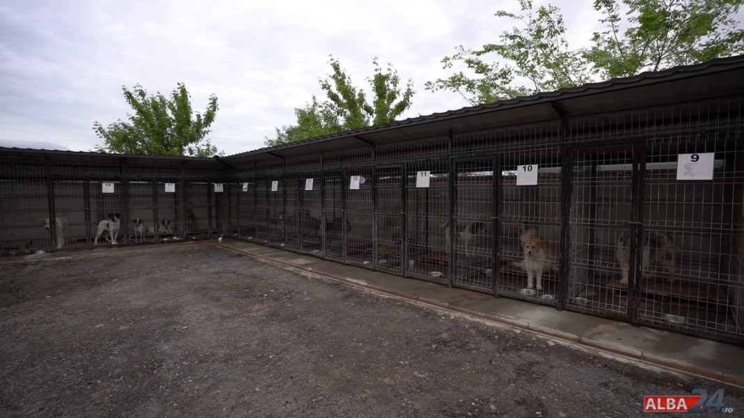 Extinderea adăpostului pentru câinii din Alba Iulia intră în faza de achiziție