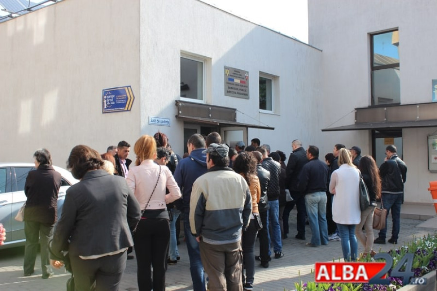 Locuri de muncă în Alba: ofertă AJOFM Alba pentru 9 septembrie