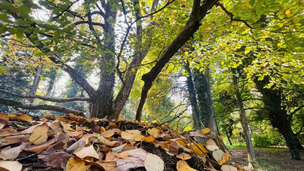 Vremea în Alba în săptămâna 15 – 21 septembrie: Două anotimpuri într-o săptămână. Prognoza meteo pe localități