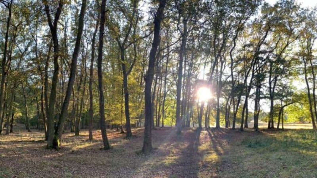 Temperaturi în creștere în weekend în județul Alba, cu maxime de până la 28 de grade