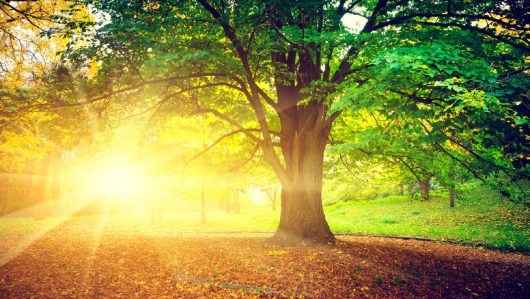 Estimări meteo: septembrie mai cald, iar octombrie cu temperaturi normale în România