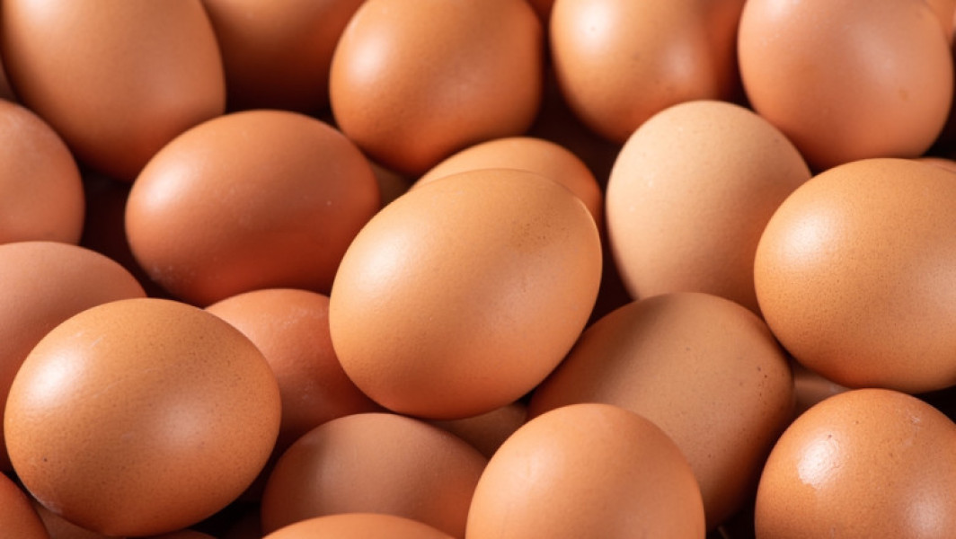 Retragere de ouă bio de la Kaufland și Mega Image din cauza riscului de Salmonella