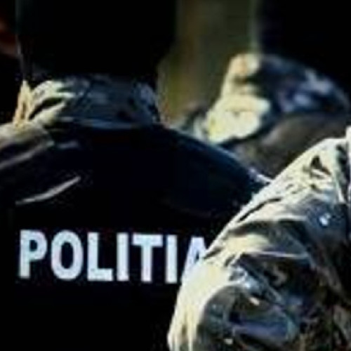 Percheziţii în Timiş, Caraş-Severin şi Gorj pentru arme şi muniţii ilegale