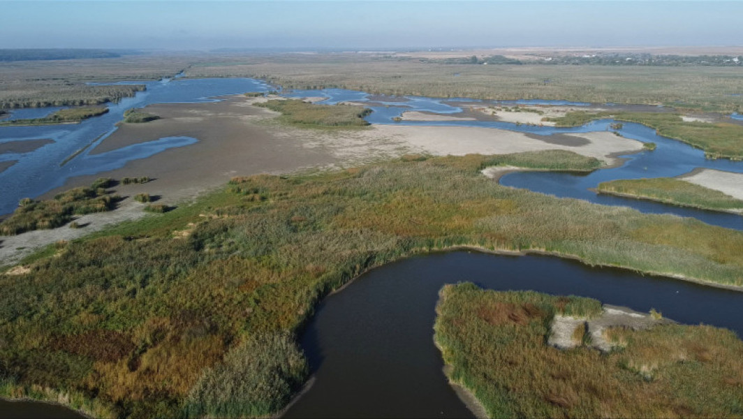Delta Neajlovului din Comana riscă să dispară din cauza secetei și lipsei de investiții