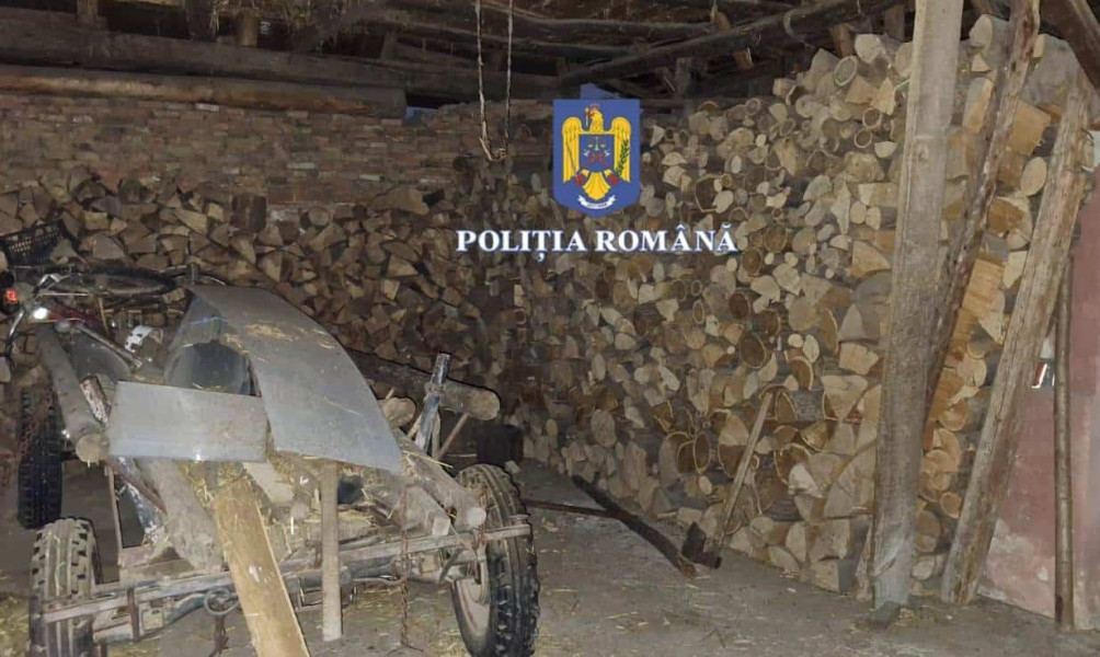 Percheziții ample în județul Sibiu pentru tăiere ilegală de arbori și mită