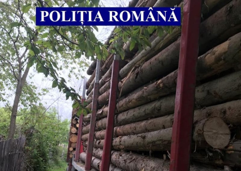 Acțiune de prevenire a tăierilor ilegale de arbori în județul Alba