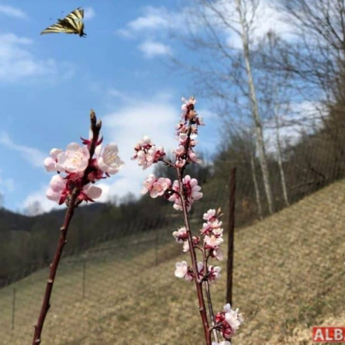 Cel mai recent prognoză meteo pentru luna lui Mărțișor: weekend călduros și cer înnorat. Vremea se schimbă în ultima săptămână a lunii februarie.