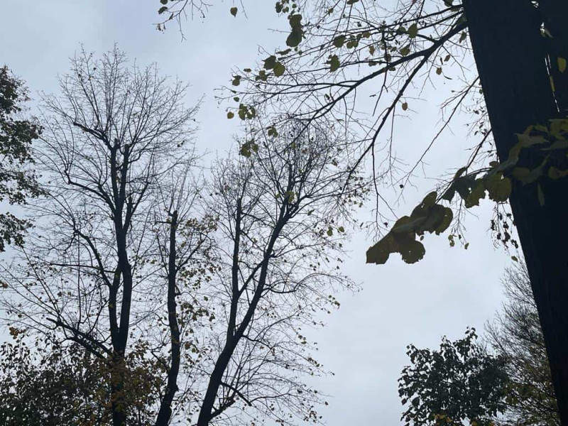 Vremea în Alba săptămâna 6-12 octombrie: intervale cu ploi și temperaturi în scădere
