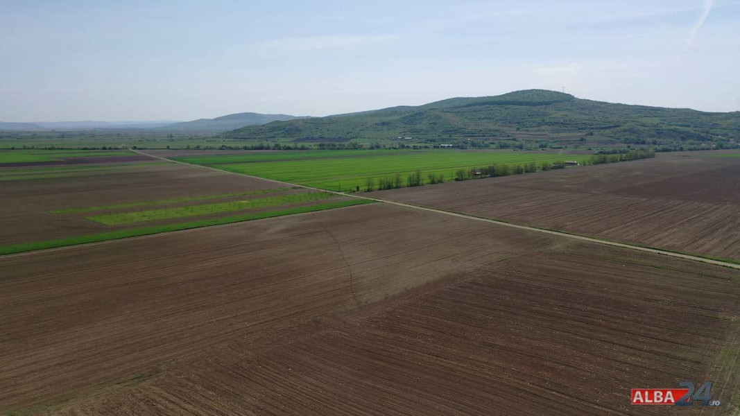 Vânătoarea de ciori şi grauri ar putea fi permisă tot anul fără cote de recoltă