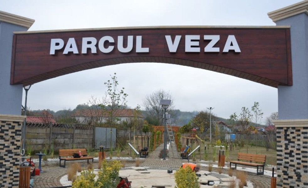 Tânăr din Jidvei reținut după ce a tăiat un copac ornamental în parcul din Blaj