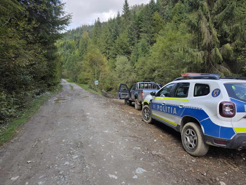 Garda Forestieră Cluj a intensificat controalele pentru prevenirea tăierilor ilegale în Alba