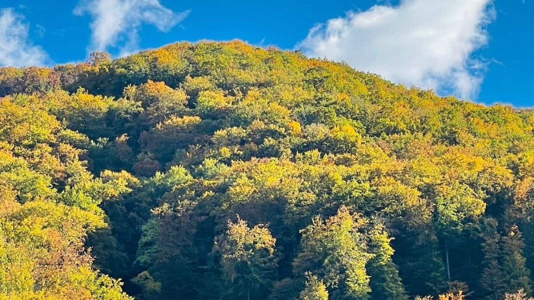 Temperaturi în creștere în Alba săptămâna viitoare, urmate de o răcire duminică