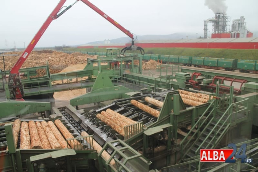 Angajat al Holzindustrie Schweighofer condamnat pentru ucidere din culpă după un accident mortal de muncă