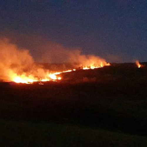 Intervenția forțelor de intervenție la incendiul de vegetație din Râmeț