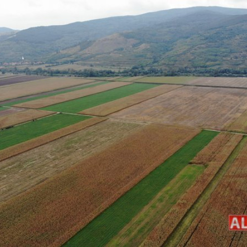 APIA a deblocat plățile pentru fermieri - Anunțul ministrului Agriculturii Barbu către fermieri: Suma de 1,5 miliarde lei autorizată la plată pentru fermieri, în această săptămână.