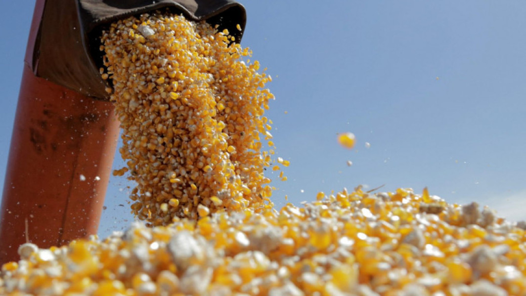 UE, acord provizoriu pentru importuri agricole ucrainene fără taxe vamale până în iunie 2025